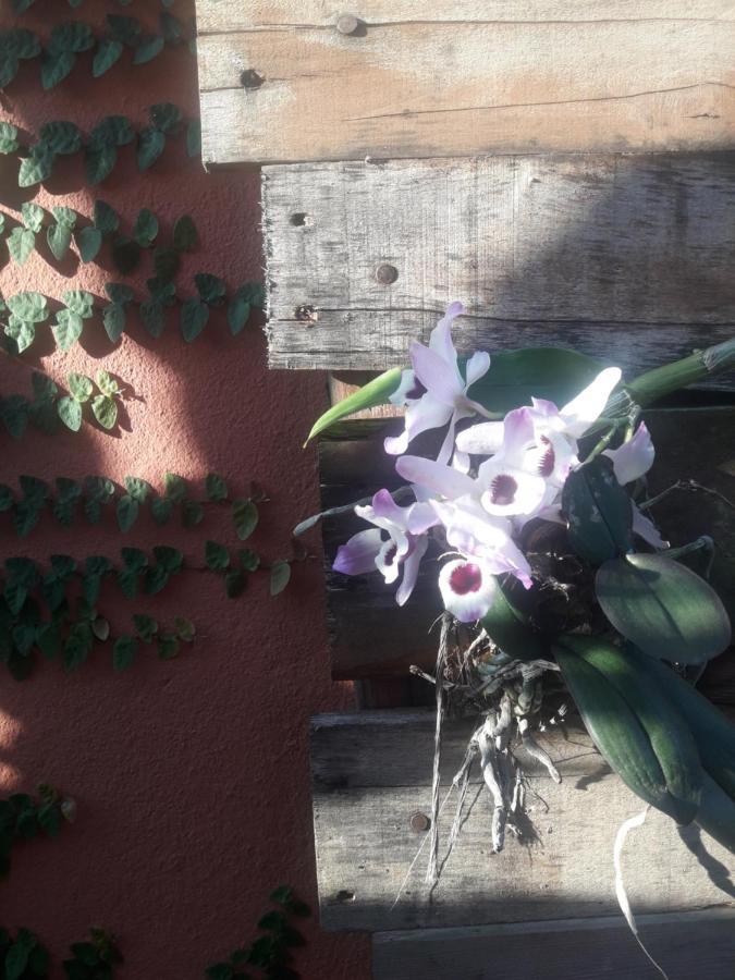 Casa Indaiá BnB Caraguatatuba Bagian luar foto