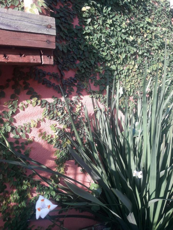 Casa Indaiá BnB Caraguatatuba Bagian luar foto