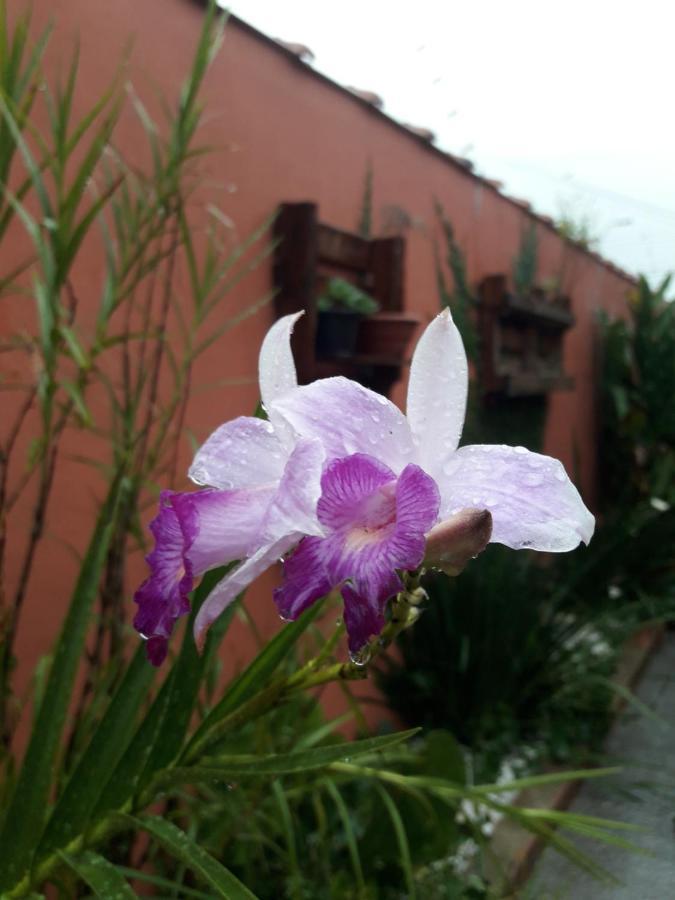 Casa Indaiá BnB Caraguatatuba Bagian luar foto