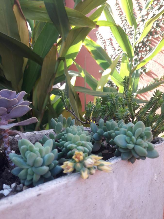 Casa Indaiá BnB Caraguatatuba Bagian luar foto
